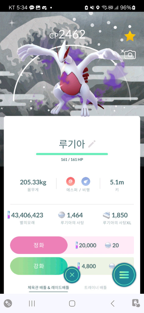 포켓몬고 칼로스배경 로치 팝니다 이미지