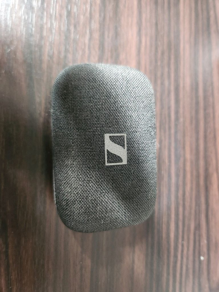 젠하이저 모멘텀4 이어폰 케이스--2