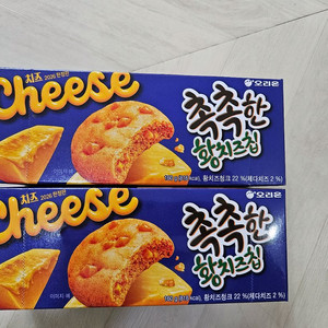 촉촉한 황치즈칩