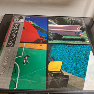 <수입 LP> 버티 히긴스 Bertie Higgins 엘피