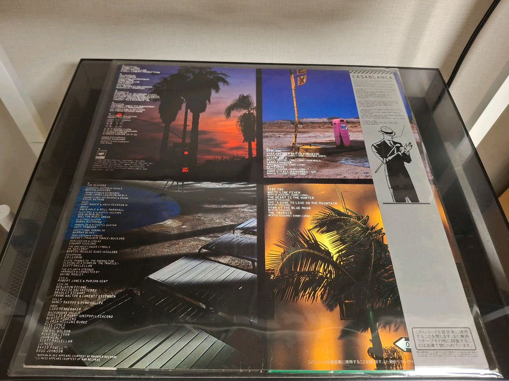 <수입 LP> 버티 히긴스 Bertie Higgins 엘피--1