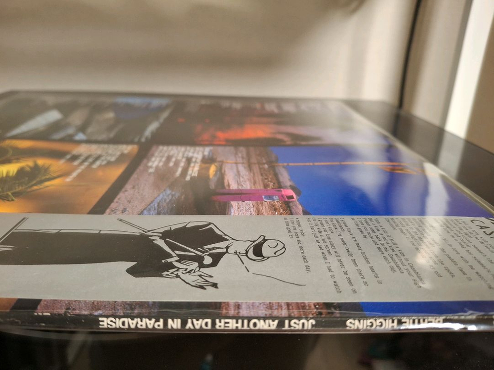 <수입 LP> 버티 히긴스 Bertie Higgins 엘피--2