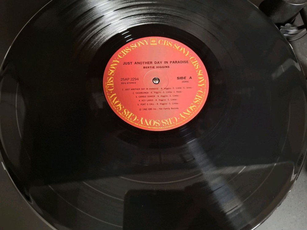 <수입 LP> 버티 히긴스 Bertie Higgins 엘피--4