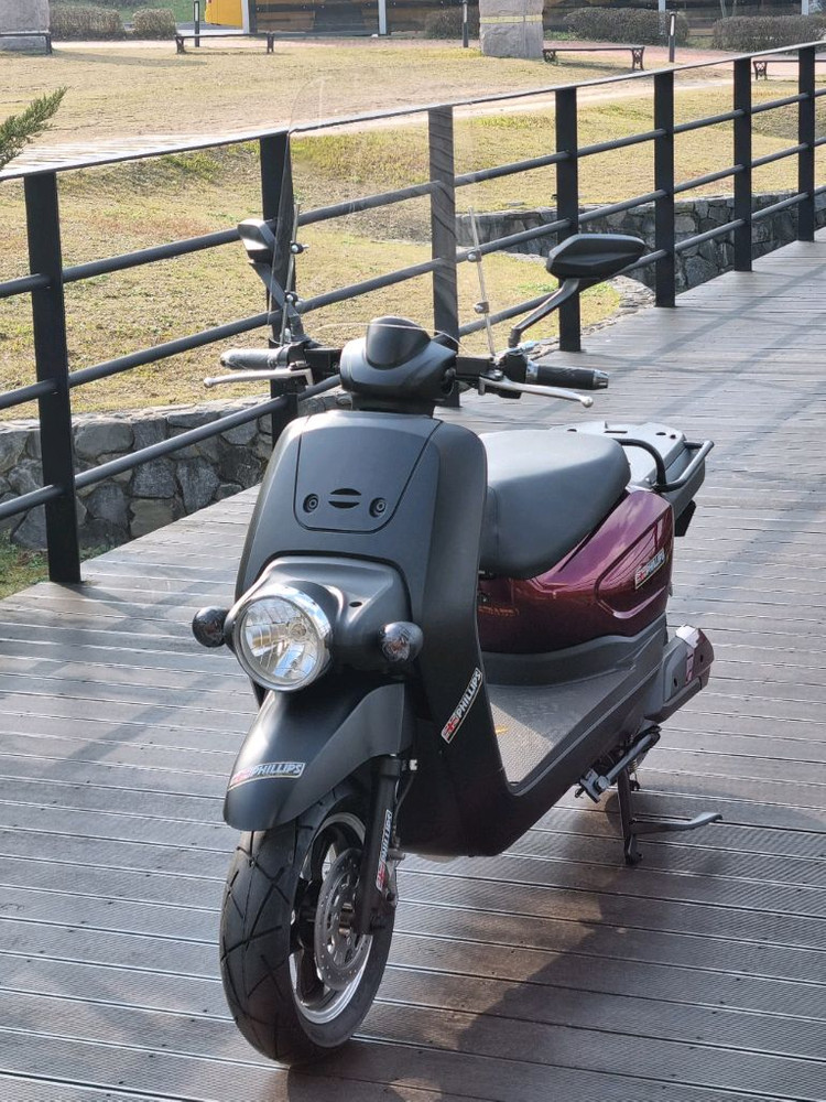 필립스 뉴비 전기스쿠터 삼성 72볼트 배터리 장착--1