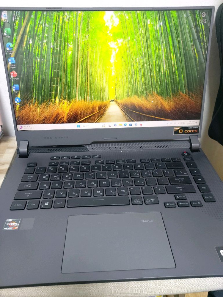 ASUS ROG Strix G513Q 게이밍 노트북 rtx3070 이미지