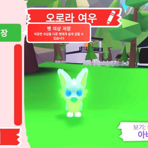 입양하세요 펫 메가네온 오로라 여우 판매합니다