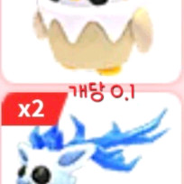 입양하세요 펫들 대량 판매 이미지