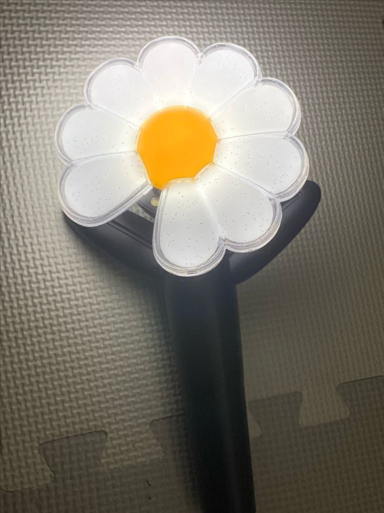 빅뱅 지드래곤 지디 GD 응원봉 데이지봉 단품 이미지