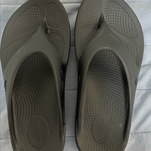 우포스 여성쪼리 250