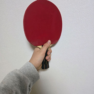 선수용 탁구라켓 이미지