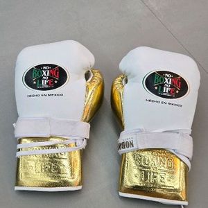 노복싱노라이프 글러브 14온스 이미지