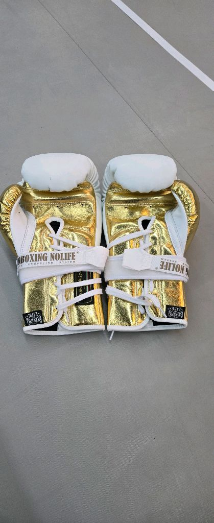 노복싱노라이프 글러브 14온스 이미지