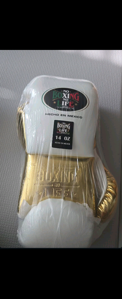 노복싱노라이프 글러브 14온스 이미지