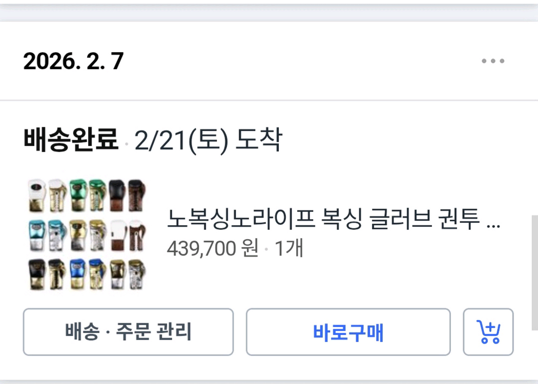 노복싱노라이프 글러브 14온스 이미지