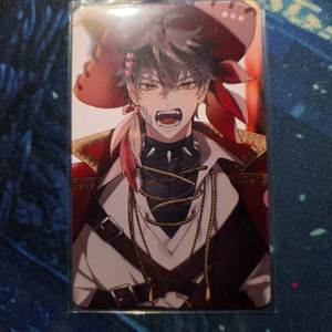 스코시즘 코요 생일 포카 (버건디)