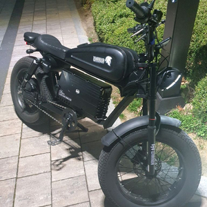 워리어 슈퍼 모터 e bike (가격 제시 해주세요) 이미지