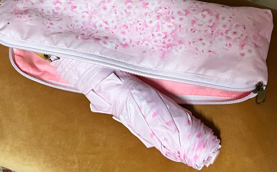 신품) 스타벅스 체리블라썸 벚꽃 양우산 3단우산 이미지