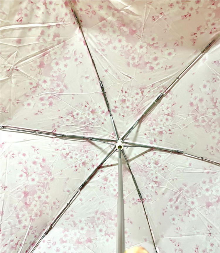신품) 스타벅스 체리블라썸 벚꽃 양우산 3단우산 이미지