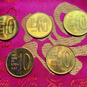 1980년 10원 동전 5개 일괄 이미지