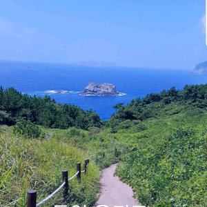 포르자750 25년식삽니다 이미지