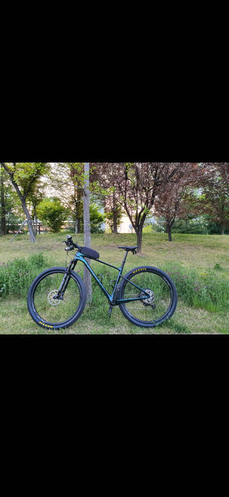 자이언트 XTC 어드밴스 SL 29 1--1