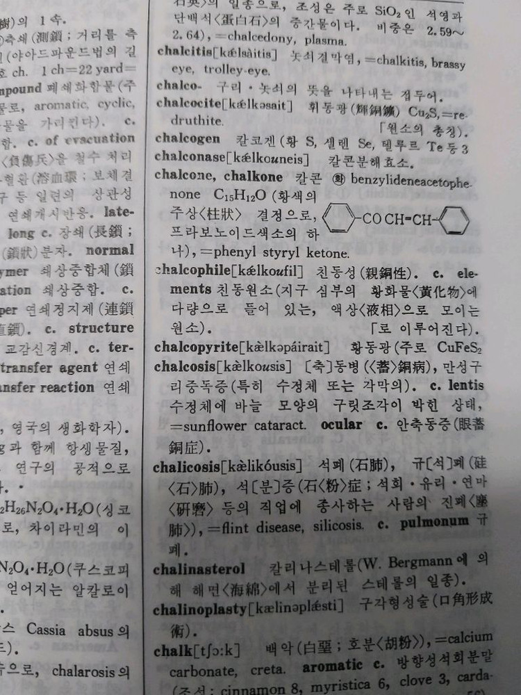 영한 의학대사전 무료배송--1