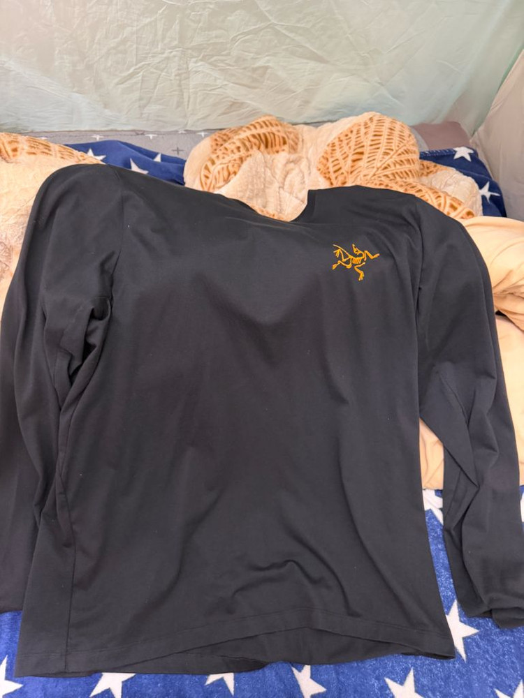 아크테릭스 아크멀티 버드 로고 롱슬리브 티셔츠 블랙XL 이미지