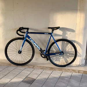 쓰나미 SNM100 픽시 카멜레온 이미지