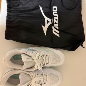 미즈노 웨이브 모멘텀 앨리트 베드민턴 운동화