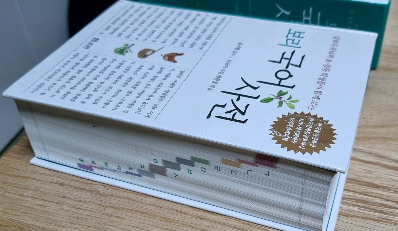 보리 국어사전(2019년10월개정)--2