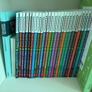 드래곤 마스터즈 정품