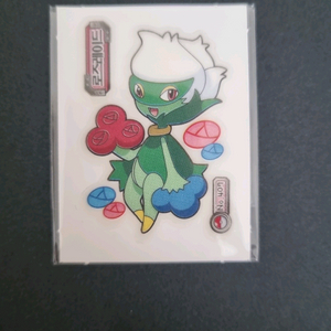 407 로즈레이드 띠부실