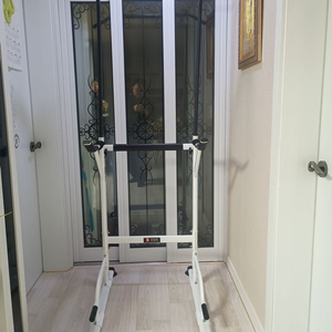 턱걸이운동기구 치닝디핑(직거래만가능)