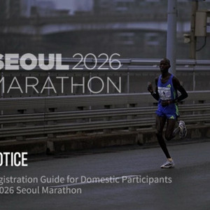 서울 동아 마라톤 10k 양도 이미지