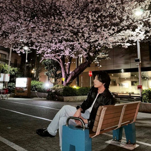 >LIVE>박효신 콘서트 정가&