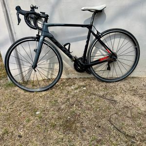 첼로 케인 풀카본 로드자전거 S급