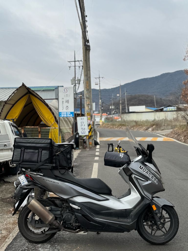 혼다 포르자300--3