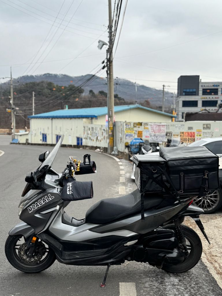 혼다 포르자300--4