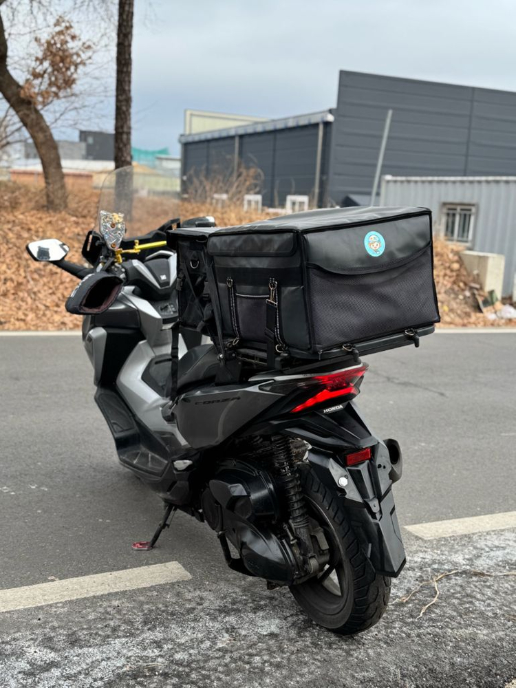 혼다 포르자300--5