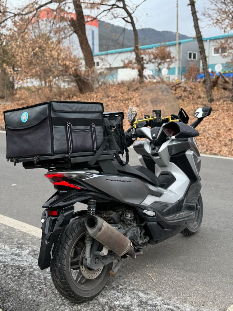 혼다 포르자300--7