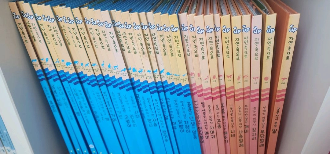 up자연속으로 이미지