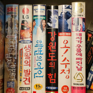 홍상수 비디오 콜렉션 생활의발견 해변의여인 오수정 강원도의힘 돼지가.. 이미지