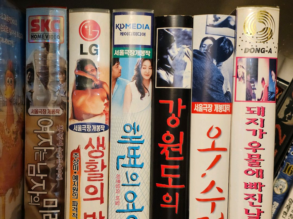 홍상수 비디오 콜렉션 생활의발견 해변의여인 오수정 강원도의힘 돼지가.. 이미지