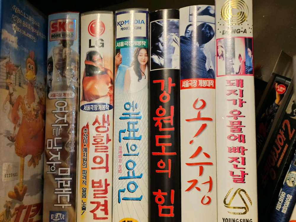 홍상수 비디오 콜렉션 생활의발견 해변의여인 오수정 강원도의힘 돼지가.. 이미지