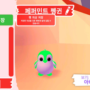 입양하세요 펫 네온 페퍼민트 펭귄(네페펭)판매합니다