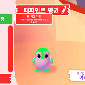 입양하세요 펫 네온 페퍼민트 펭귄(네페펭)판매합니다