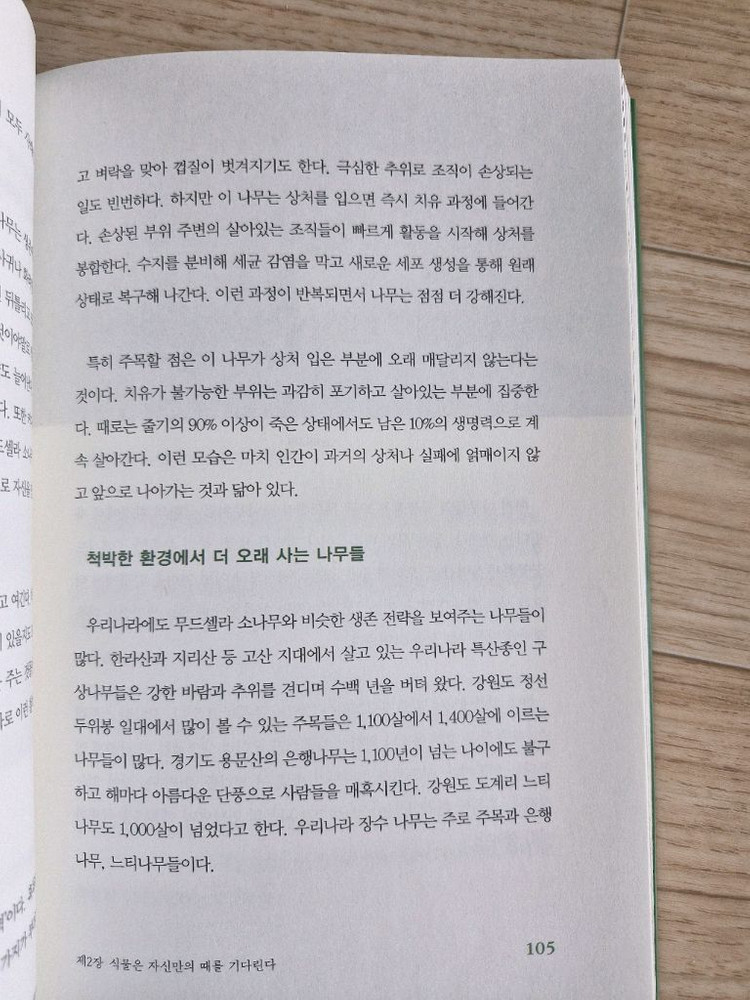 숲에서 인생을 배우다(책, 에세이)--5