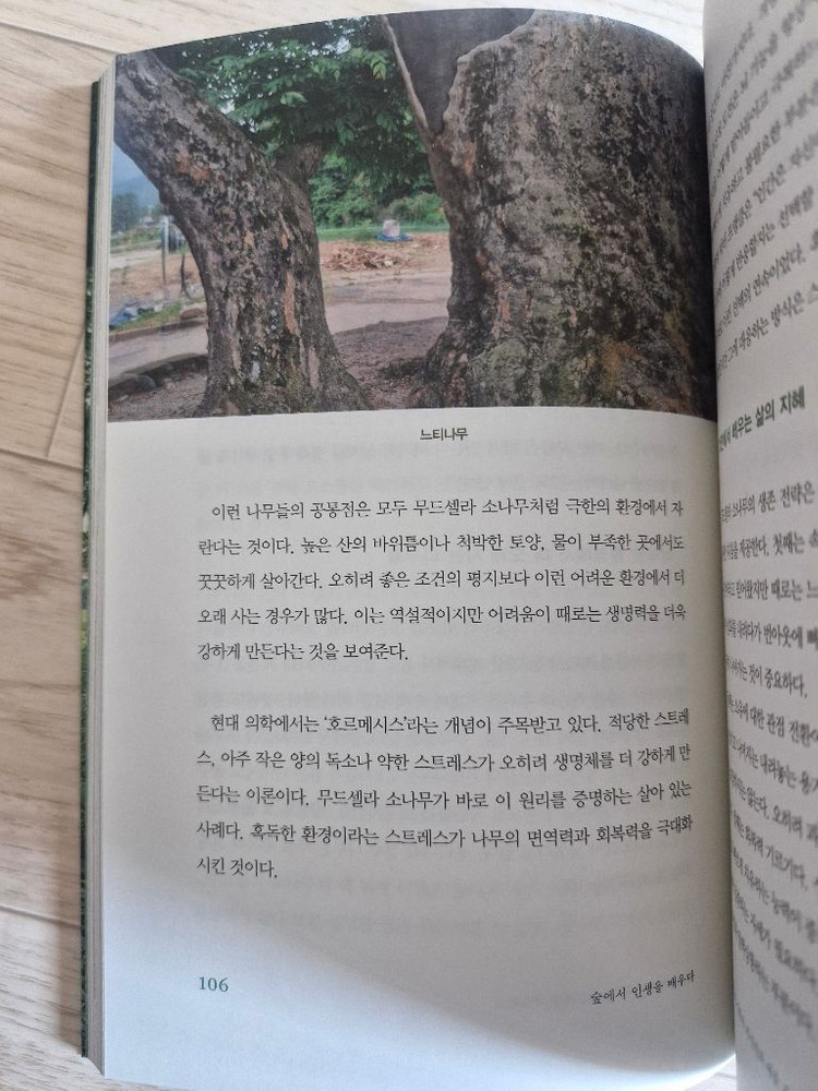 숲에서 인생을 배우다(책, 에세이)--6