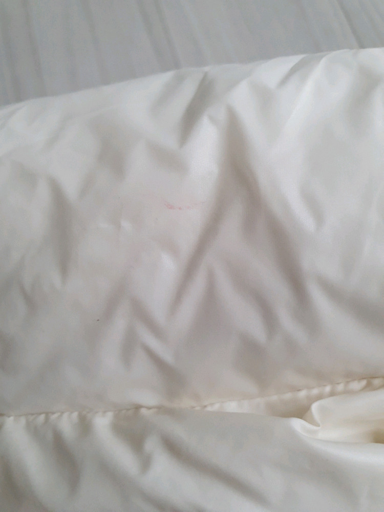 Ben Sherman 아이보리 패딩 85--6