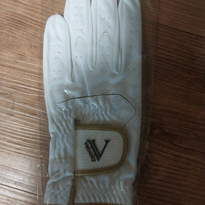 Velocity골프 장갑 흰색 이미지